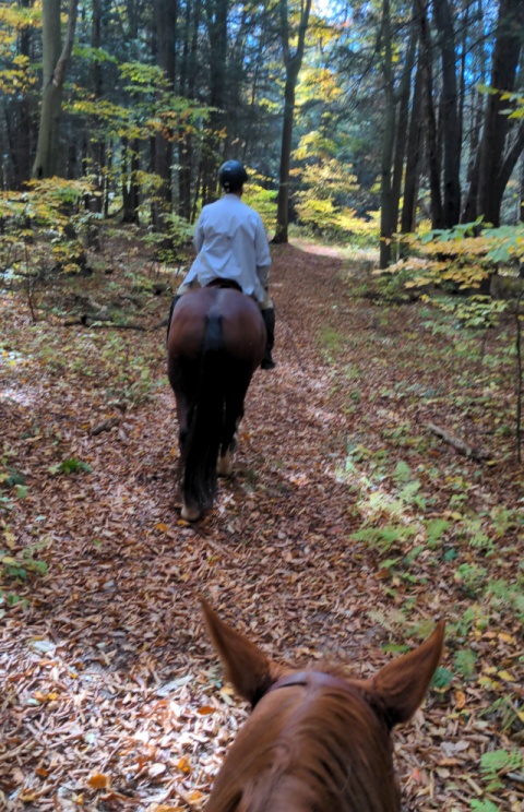 Prince Gallitzin: Gates Trail horse riding