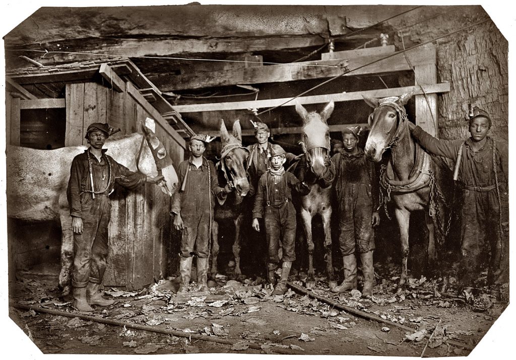 Boys and mine mules in West Virginia coal mine, 1908
