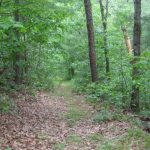 Goose Club Trail 2